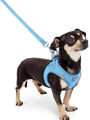 Miniatura 128 de rabbitgoo Juego de arnés para perro de tamaño pequeño y correa, chaleco ligero suave para cachorro, arnés de malla transpirable para mascotas