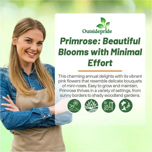 Miniatura 5 de Outsidepride 10 semillas anuales Primula común Primrose Primlet Pink Shades Semillas de flores para plantar