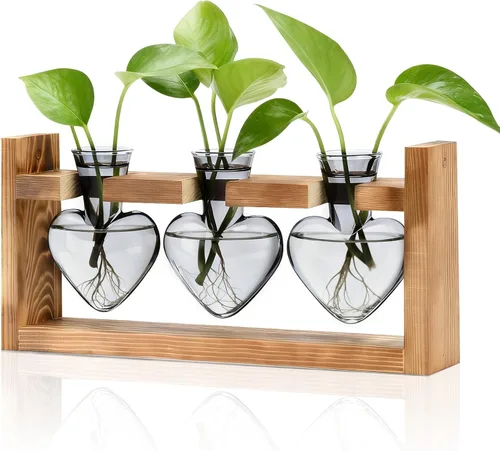 Miniatura 11 de Nacome Estaciones de propagación de terrarios de plantas: regalos del día de la madre para mamá, amantes de las plantas, mujeres, esposa, hija