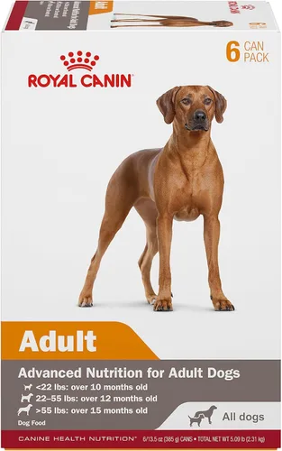 Miniatura 8 de Alimento en gel para perros adultos Royal Canin Canine Health Nutrition, 13.5 oz (Paquete de 12)