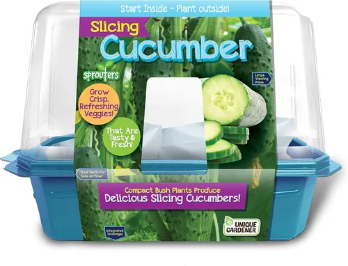 Miniatura 7 de Toys by Nature - Terrario de brotes de plátanos para interiores, suministros completos para cultivar mini plátanos comestibles en casa, las plantas