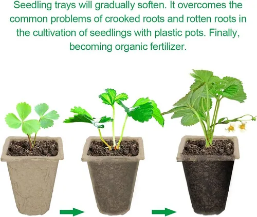 Miniatura 4 de Paquete de 10 bandejas de iniciación de semillas, 120 celdas de germinación orgánica, bandejas de semillas de germinación orgánica, kit de cultivo