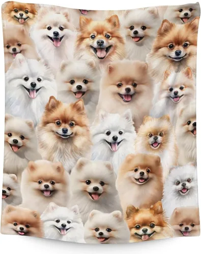 Miniatura 21 de Manta de Pomerania para niñas, tamaño de regazo de 30 x 40 pulgadas, manta de felpa suave y mullida, manta rosa para perro para sala de estar