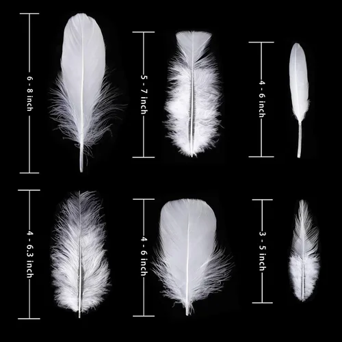 Miniatura 4 de Larryhot White Craft Feathers - 240 plumas naturales mixtas de 6 estilos para bodas, fiestas en casa, suministros de atrapasueños y manualidades