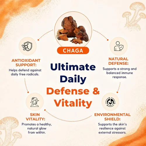 Miniatura 3 de Polvo de extracto de Chaga de Malama, polvo de hongos Chaga orgánico fructífero, superalimento adaptogénico, apoya el sistema inmunológico, la salud