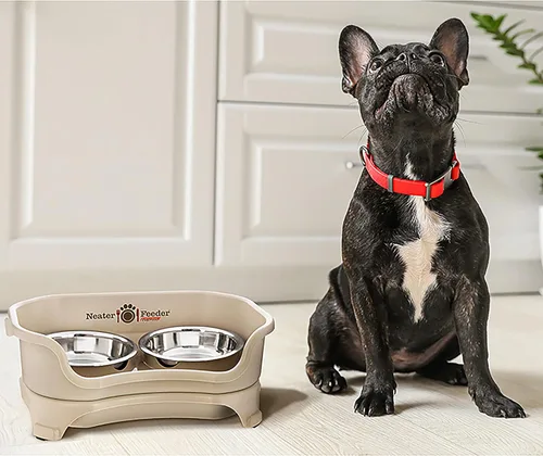 Miniatura 9 de Neater Feeder Express Tazones para Perros Elevados a Prueba de Desorden para Razas Pequeñas de Menos de 15 Libras, Fabricado en EE.UU., Soporte