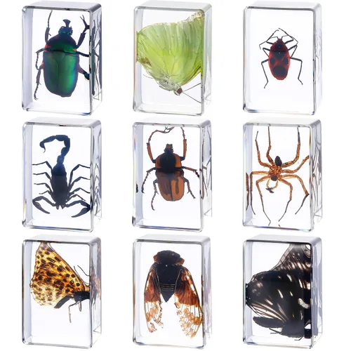 Beeveer 9 piezas de insectos en resina, especímenes de insectos, colección de arañas, mariposas, juguetes de insectos, especímenes educativos para