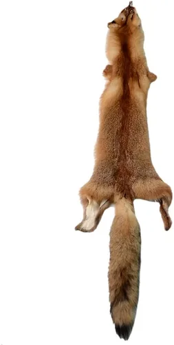 Miniatura 10 de Genuinas pieles curtidas naturales de mapache con pelaje clasificado de grado 1, pieles reales de mapache para atado de moscas, artesanías, abrigos