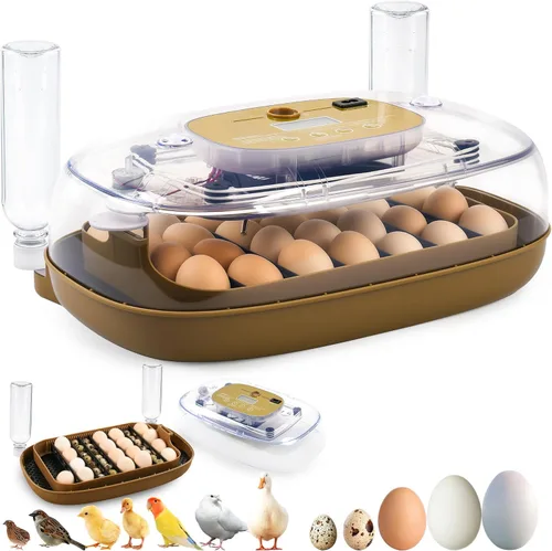 Ploomi Incubadora de 24 huevos con recarga automática de agua y control de humedad, girador automático de huevos, vela LED integrada, preprogramas