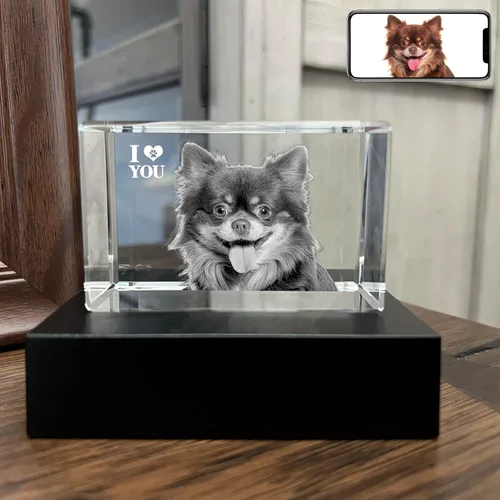 Miniatura 12 de Foto de cristal 3D personalizada, regalos conmemorativos para perros y gatos personalizados para dueños de mascotas. Caja de regalo incluida, foto