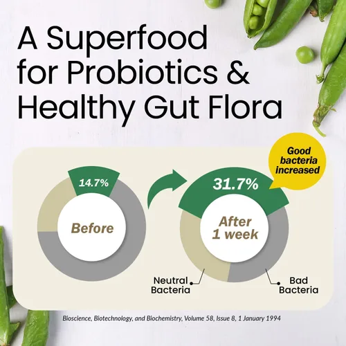 Miniatura 9 de LABO Nutrition Fibra Orgánica Bioactiva – Sunfiber PHGG Fibra Prebiótica Soluble para la Regularidad Digestiva y Salud Intestinal – Goma de Guar