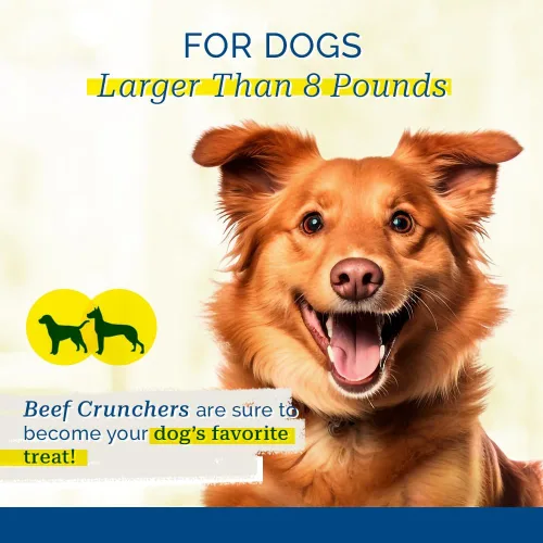 Miniatura 5 de PCI Golosinas para perros de entrenamiento pulmonar de carne de res - 4 oz
