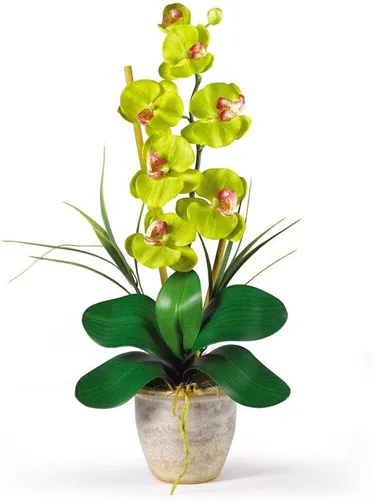 Miniatura 5 de Nearly Natural 1016-GY Phalaenopsis - Arreglo floral de orquídea de seda, amarillo, 9x6x21