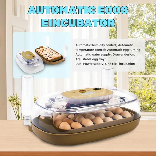 Miniatura 7 de Ploomi Incubadora de 24 huevos con recarga automática de agua y control de humedad, girador automático de huevos, vela LED integrada, preprogramas