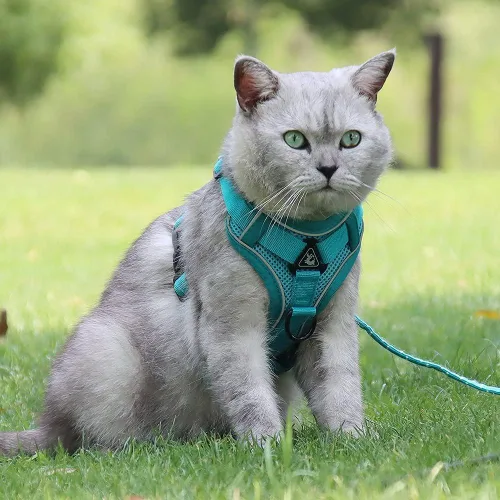 Miniatura 4 de Arnés para cachorro, juego de arnés y correa para gato, arnés sin tirones para perro y gato, malla suave, transpirable, reflectante, chaleco
