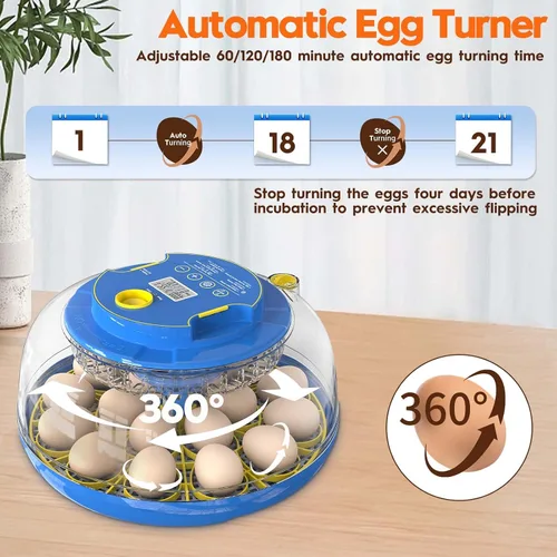 Miniatura 4 de Incubadora para incubación de huevos-18 huevos con giro automático de huevos y control de humedad Vista de 360 ° Incubadora de Huevos, patos