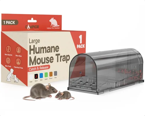 Black Humane - Trampa para ratones, paquete de 1, trampas para ratones vivos para atrapar y liberar para interiores y exteriores, segura para