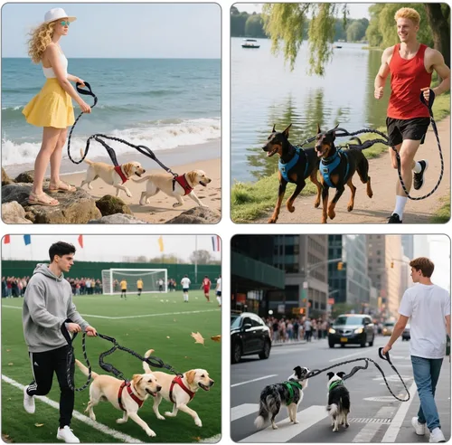 Miniatura 7 de Correa doble duradera para perros, correa para dos perros, sin enredos, con asas acolchadas y tiras reflectantes para perros medianos y grandes