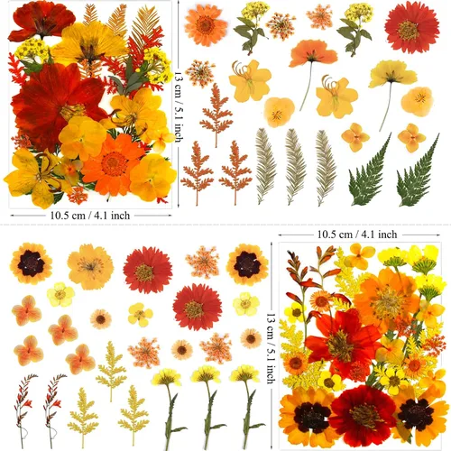 Miniatura 5 de MIKIYA 90 piezas de flores secas prensadas de otoño para resina, hojas florales secas de color naranja natural a granel para manualidades, moldes