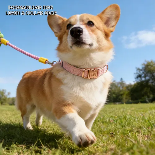 Miniatura 7 de Correa de perro manos libres, cintura elástica ajustable y correa cruzada con mango cómodo, cuerda de nailon resistente para perros pequeños a Negro
