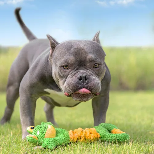 Miniatura 4 de Sedioso Juguete de tira y afloja para perros, juguete duradero para perros de raza grande, juguetes chirriantes para perros de tira y afloja