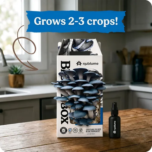 Miniatura 5 de BloomBox Kit de Cultivo de Setas Ostra Azules – Listo para Fructificar Regalo de Jardinería Interior – Tronco de Spawn Orgánico para Hongos Frescos