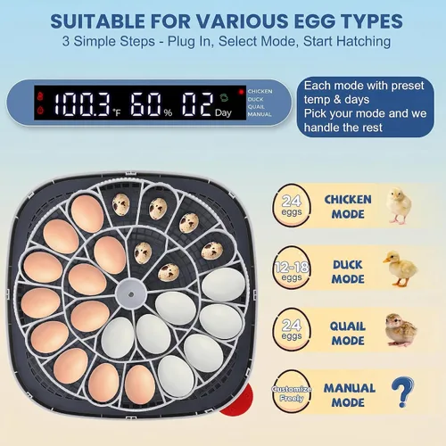 Miniatura 2 de Sailnovo 24 incubadoras de huevos para incubar huevos, control automático de temperatura y giro de huevos, vela de huevos, incubadora de visión