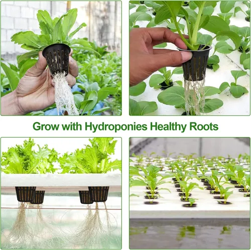 Miniatura 3 de HXSEMAYIG 50 macetas de red de 2 pulgadas, taza hidropónica, tazas de red para cultivo en interiores o exteriores