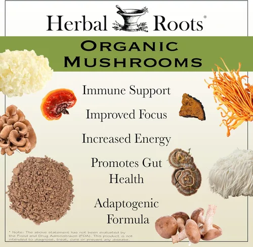 Miniatura 3 de Herbal Roots Cápsulas orgánicas de suplemento de mezcla de hongos 8 - Extractos corporales 100% fructíferos - Bienestar e inmunidad - 60 cápsulas