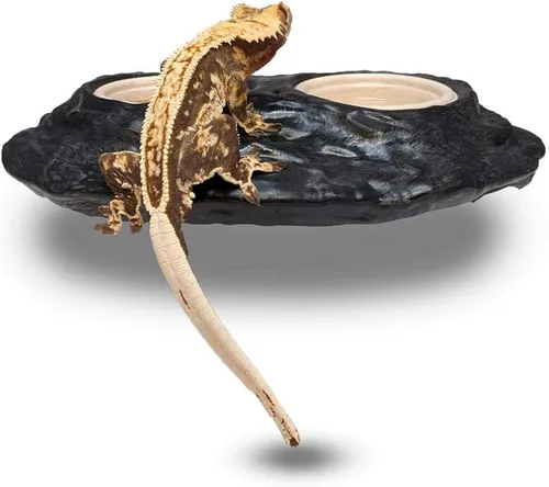 Miniatura 2 de Alimentador magnético para gecos Ultimate Gecko Ledge