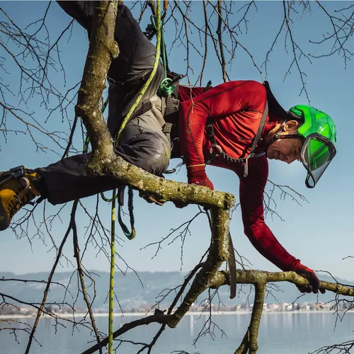 Miniatura 3 de Casco Arborist Integral Protos - Verde y Gris