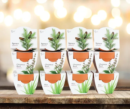 Miniatura 6 de BUZZY Seeds Radiant Collection - Paquete de 12 – Kit de iniciación de semillas de terracota todo en uno para hierbas, suculentas y árboles, incluye