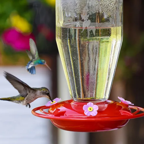 Miniatura 6 de 20 piezas de repuesto para comedero de colibríes con cepillo de limpieza, piezas de repuesto para alimentador de flores (morado)
