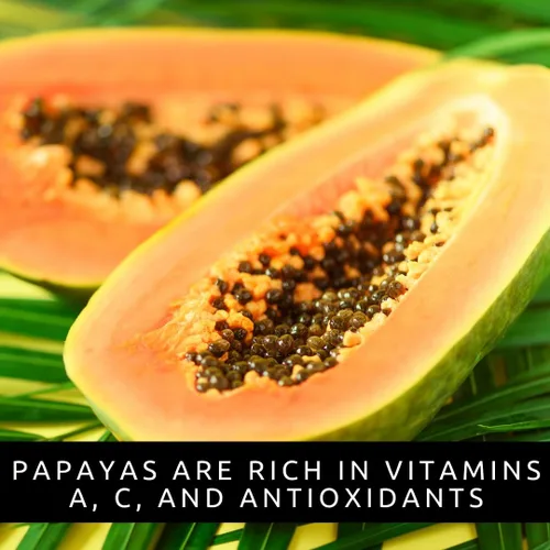 Miniatura 6 de 10 semillas de papaya enana para plantar, cultiva tu propio árbol frutal tropical en casa, patio o jardín - Sin OMG, de rápido crecimiento, frutas