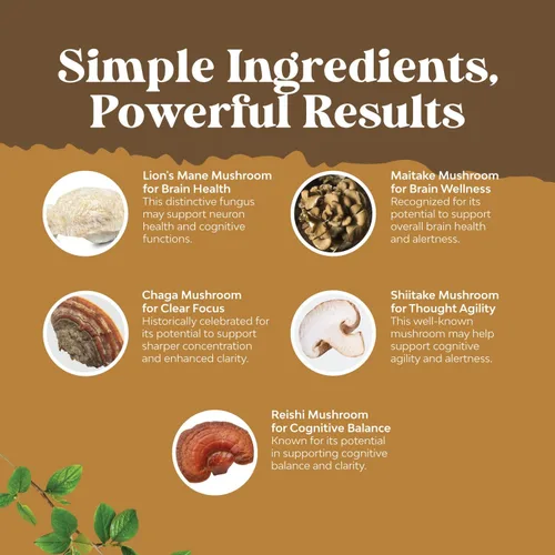Miniatura 5 de Suplemento avanzado de hongo melena de león – Cápsulas de suplemento de melena de león con Reishi Chaga Maitake y Shiitake para la salud cerebral