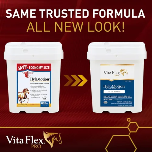 Miniatura 2 de Vita Flex Pro Hylamotion Suplemento para articulaciones de caballo de ácido hialurónico; ideal para caballos de envejecimiento, entrenamiento