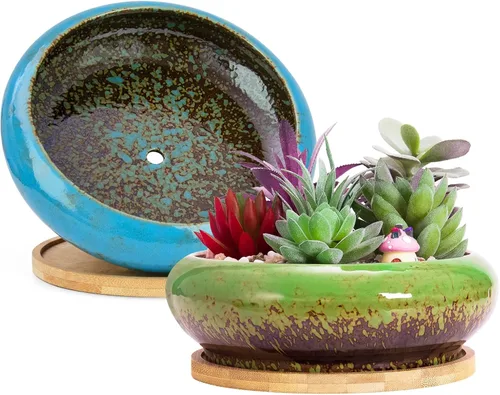 ARTKETTY Macetas para suculentas de 7.3 pulgadas con drenaje, paquete de 2, macetas poco profundas para bonsái con bandeja de cerámica para plantas