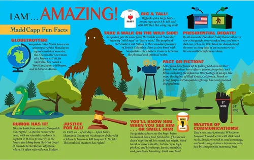 Miniatura 7 de I Am Sasquatch 300 Piezas