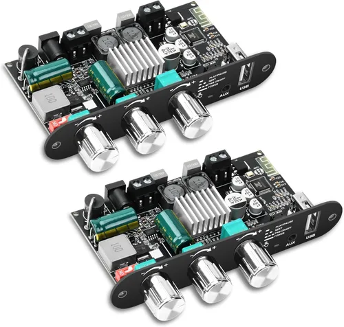 Daakro 2 unidades ZK-1001U Mono Bluetooth Amplificador Board w/TWS, 100W Pico Power Home Audio Amplificador de Audio, Amplio Voltaje Entrada 9-24V,