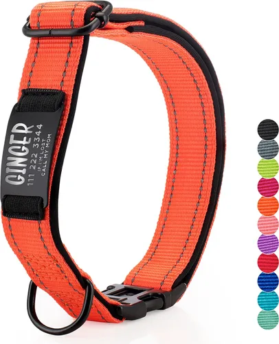 Miniatura 11 de ACTUALIZADO - Collares de perro personalizados y placa de identificación grabada, collar de perro de nailon reflectante, personalizable en 11