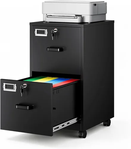 Archivador de 2 cajones con cerradura, archivador vertical móvil para colgar carpetas tamaño A4/carta/legal, debajo del escritorio, pequeños