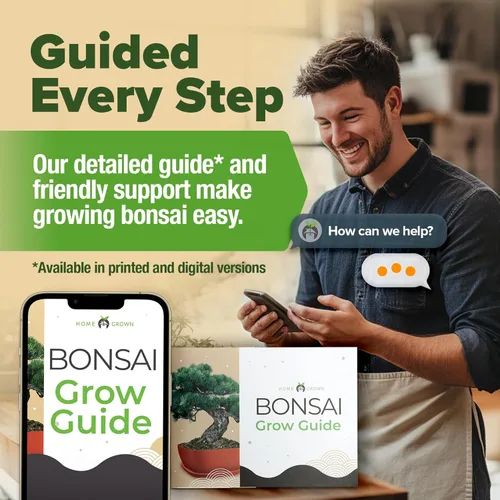 Miniatura 4 de HOME GROWN Kit de árbol bonsái – 6 variedades heredadas con macetas únicas – Kit de inicio de bonsái DIY para adultos y principiantes – Regalo