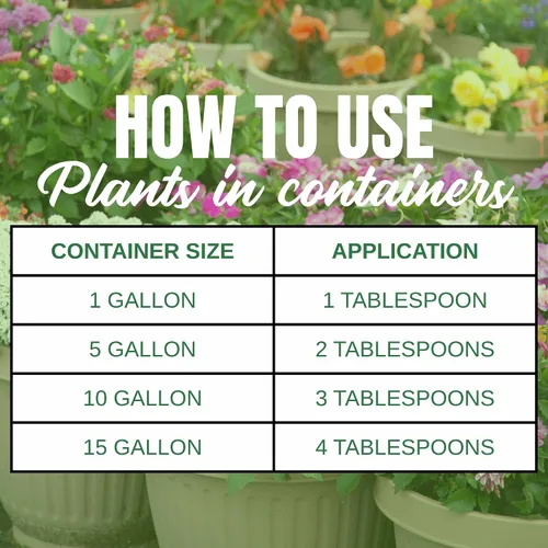 Miniatura 6 de Nelson Plant Food s ColorStar Fertilizante para plantas de interior y exterior – Alimento vegetal denso en nutrientes para aumentar