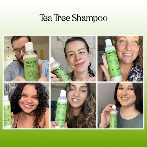 Miniatura 2 de Champú aclarante para acumulación y cabello graso - Champú de árbol de té para hombres y mujeres con aceite esencial de romero para cabello graso