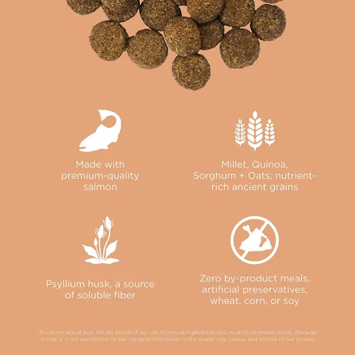 Miniatura 3 de Go! Solutions Digestion + Gut Health - Alimento seco de salmón para perros, croquetas premium sin pollo para bienestar gastrointestinal y digestivo