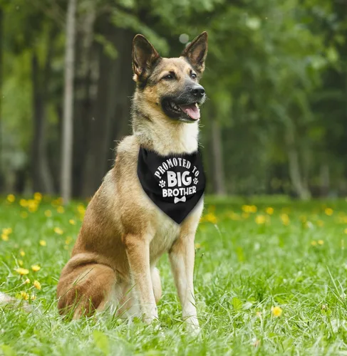 Miniatura 3 de Pañuelo para perro, promocionado a hermano mayor, silenciador para perros, impresión blanca clásica, silenciador para perros, bufanda para mascotas