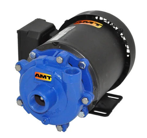 Miniatura 2 de AMT Pump 368A-95 Bomba centrífuga recta, hierro fundido, 1/3 HP, 1 fase, 115/230V, curva A, 3/4" NPT hembra succión, 1/2" NPT puerto de descarga