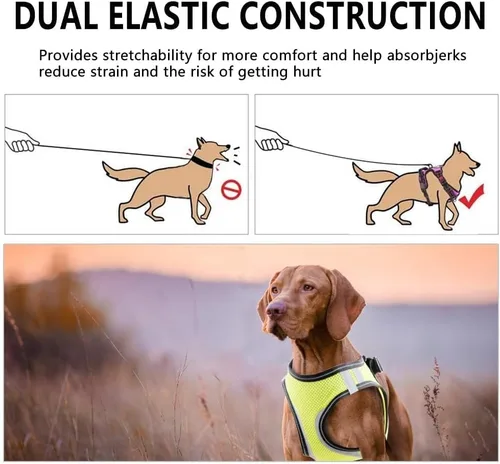 Miniatura 3 de PAWISE Arnés de malla reflectante para perro, chaleco de malla acolchada suave para caminar, arnés para mascotas sin tirones con 2 clips para correa