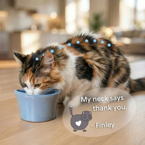 Miniatura 3 de Cuencos elevados para agua para gatos – Cuenco elevado para gatos de interior – Platos para gatos poco profundos con bigotes y cuello – Altura