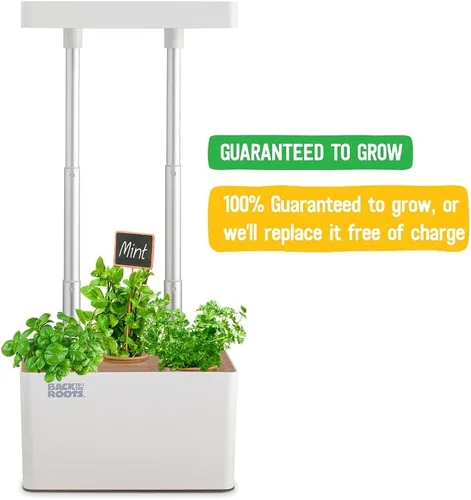 Miniatura 4 de Back to the Roots v1.0 Kit de cultivo hidropónico, Modelo 2022